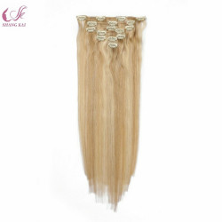 100% Virgin Human Clip in Hair Extensions