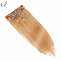 100% Virgin Human Hair Natural Hair Clip in Remy Hair Extension