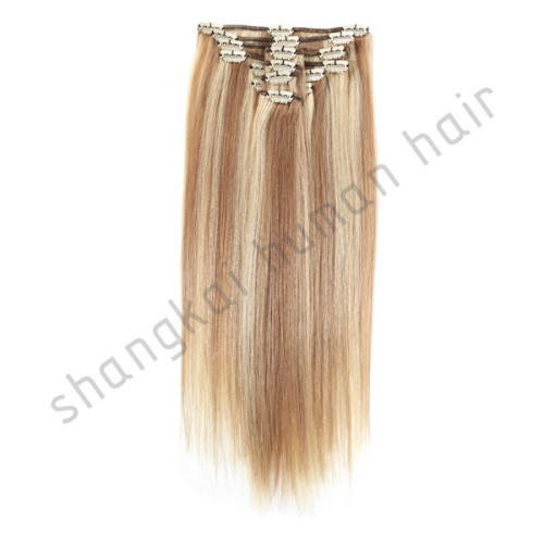 Brazilian Highlight Remy Human Hair Clip in Hair Extension