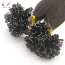 Brazilian Virgin Remy Pre-Bonded Nail/U-Tip Hair Extensions