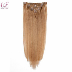 Clip on Hair Extension Remy Hair 100% Human Hair Extension