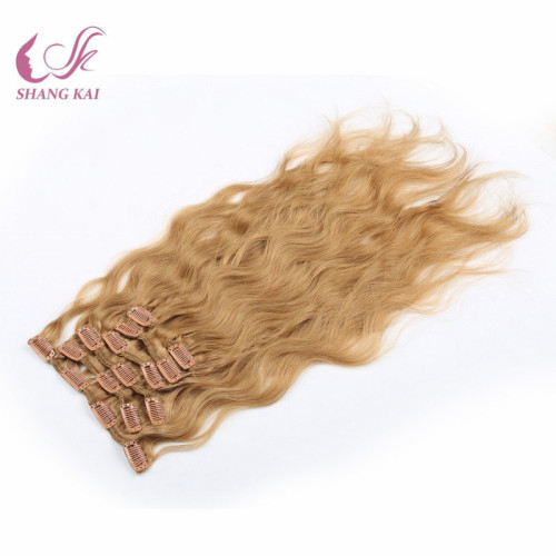 Clips Human Hair Extension Remy Human Hair Real Human Hair