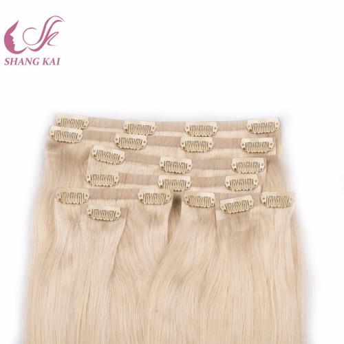 Factory Price High Quality Russian Hair Seamless Clip in Hair Extensions