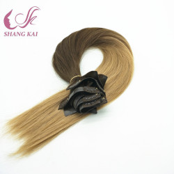 Factory Wholesale 100% Virgin Human Hair Clip in Human Hair Extension