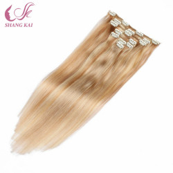 Piano Color Silky Straight Virgin Remy Unprocessed Clip in Hair Extension