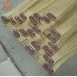 Seamless Clip Hair Extension Cheap Price Brazilian Virgin Human Hair