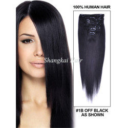 Silky Straight Indian Hair Clip Remy Human Hair Extensions