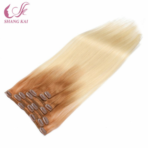 Unprocessed Brazilian Virgin Silicone Free Clip in Hair Extension