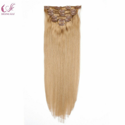 Wholesale Price Cheap Brazilian Human Hair Clip in Hair Extension